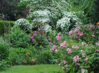 jardin